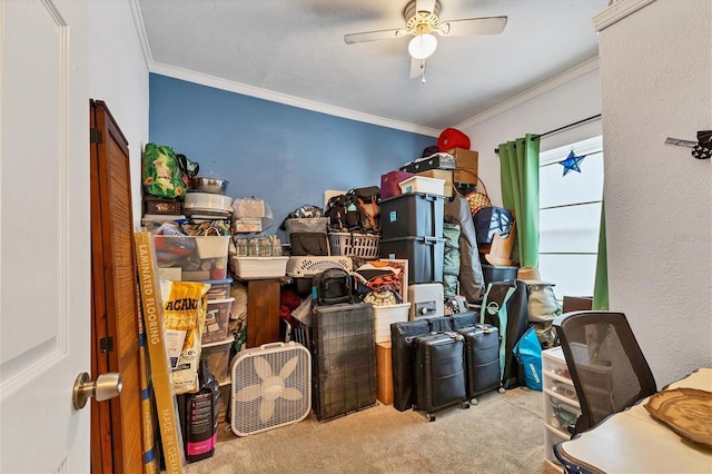 carpeted office space featuring ceiling fan and ornamental molding