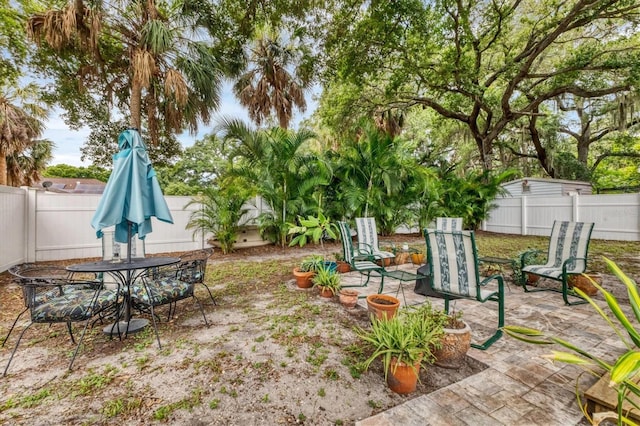 view of yard featuring a patio area