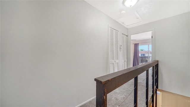 hallway with carpet flooring