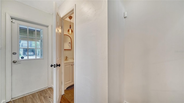 doorway featuring wood-type flooring