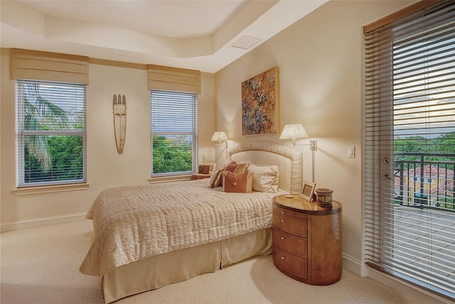 bedroom with multiple windows, a raised ceiling, and carpet