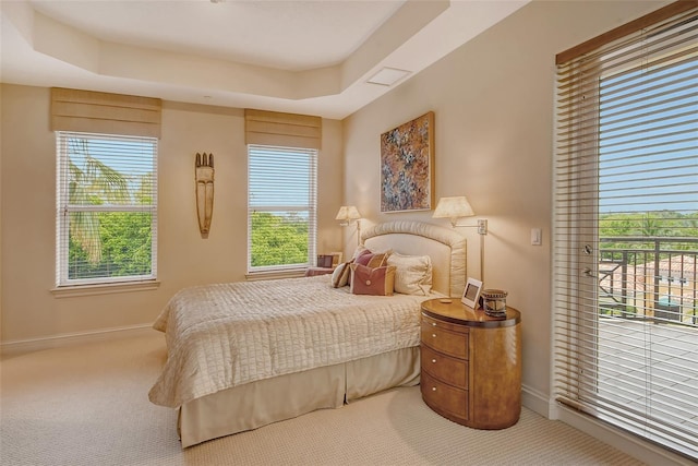 bedroom with a tray ceiling and carpet