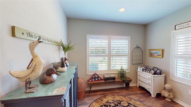 interior space featuring dark wood-type flooring