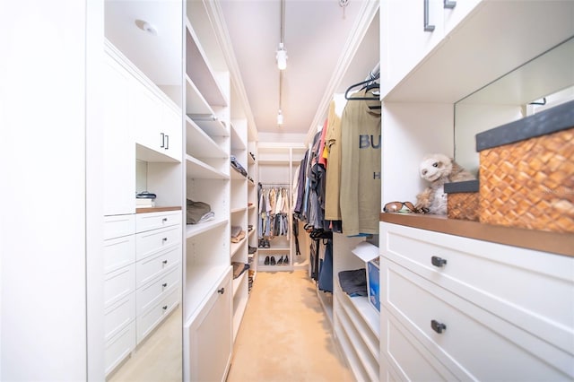 view of walk in closet