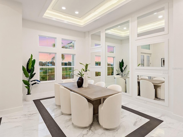 dining room featuring a raised ceiling