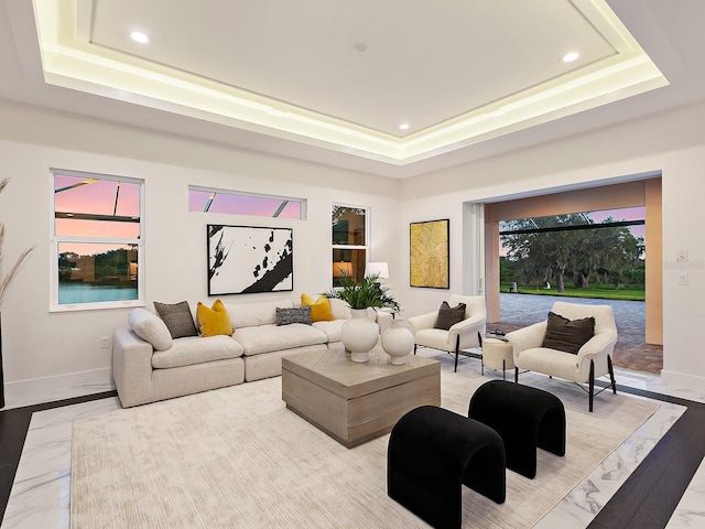 living room with a raised ceiling