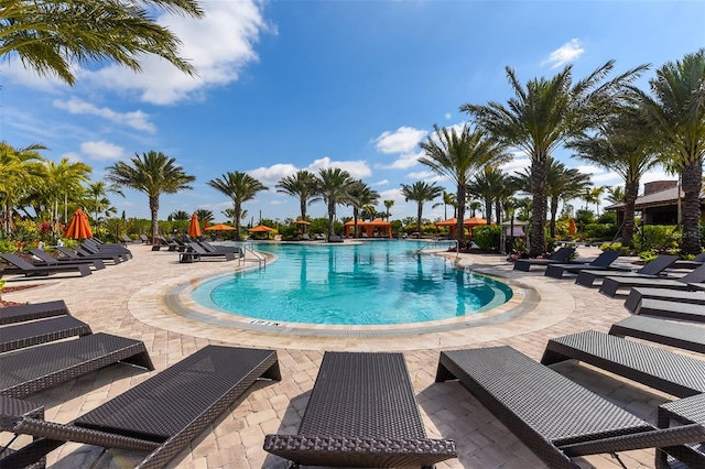 view of swimming pool featuring a patio area