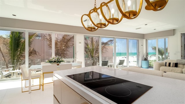 107 Elm Ave, Anna Maria, FL 34216 - photo 11