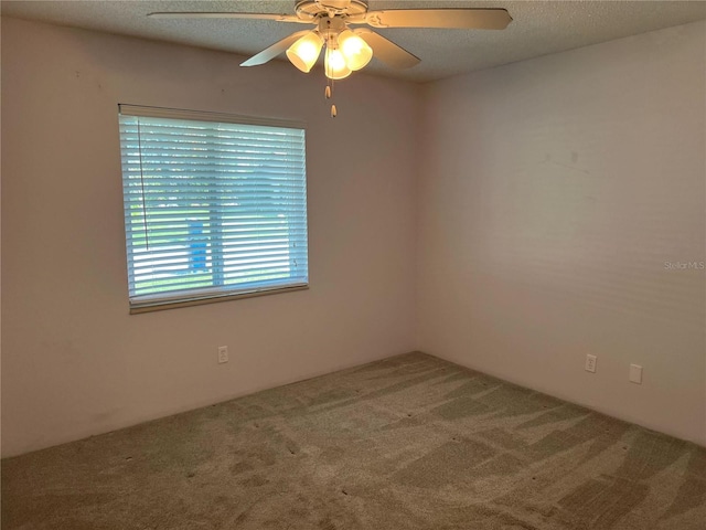 empty room featuring ceiling fan, carpet floors, and a textured ceiling