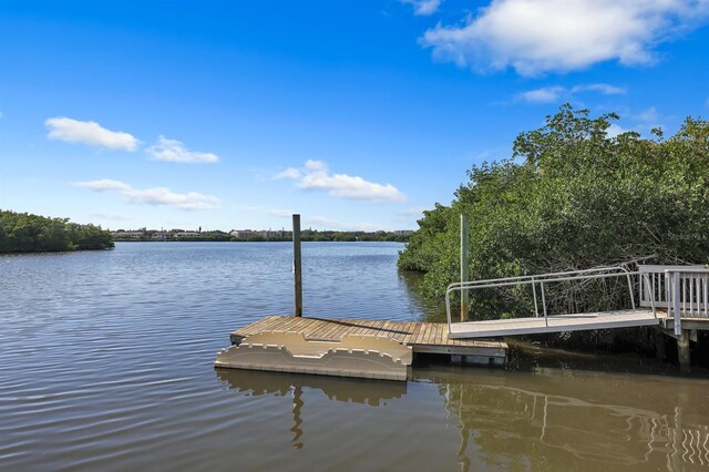 dock area with a water view