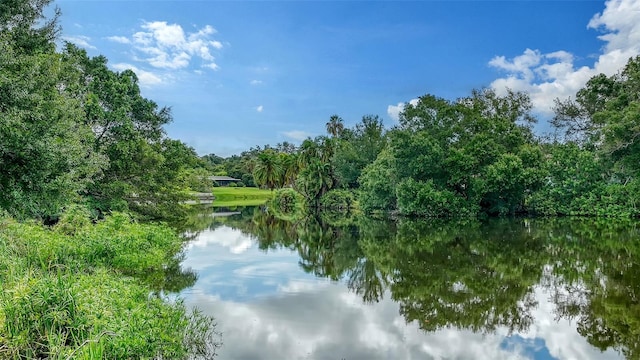 view of water feature