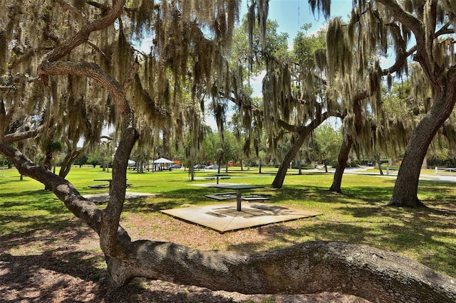 view of community with a lawn