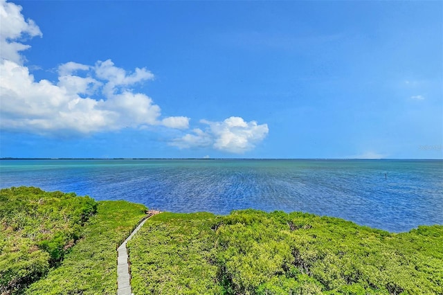 property view of water