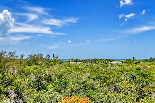 view of local wilderness