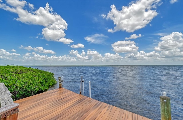 dock area with a water view