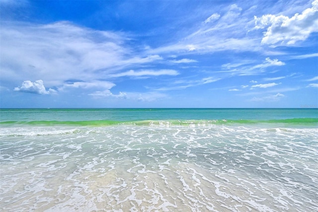 water view featuring a beach view