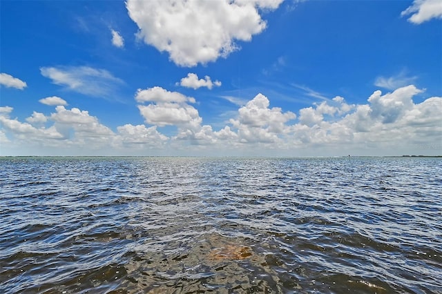 view of water feature