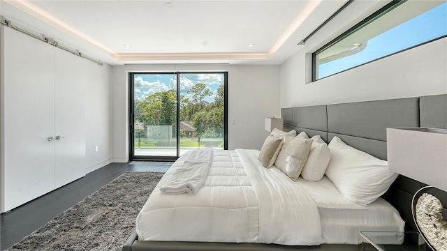 bedroom featuring a raised ceiling and dark hardwood / wood-style floors