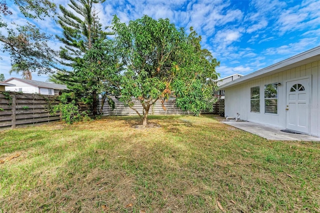 view of yard featuring a patio area