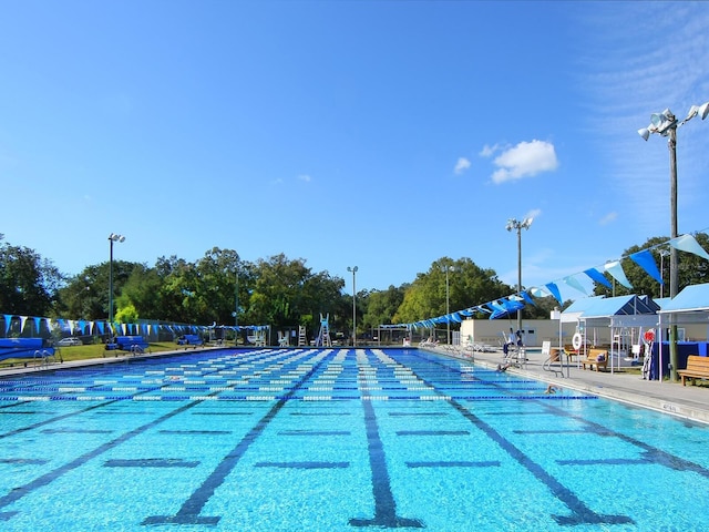 view of swimming pool with a patio