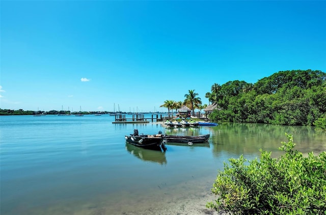 dock area with a water view