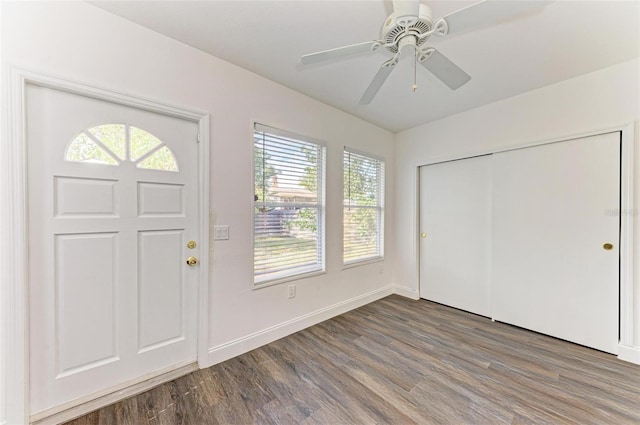 foyer entrance with a wealth of natural light, dark hardwood / wood-style flooring, and ceiling fan