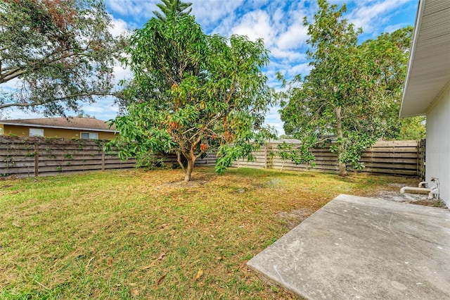 view of yard with a patio area