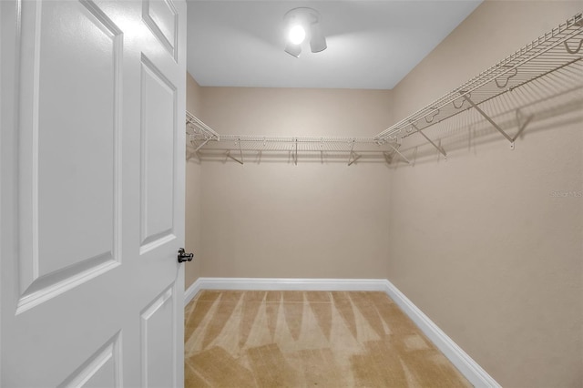 spacious closet with carpet floors