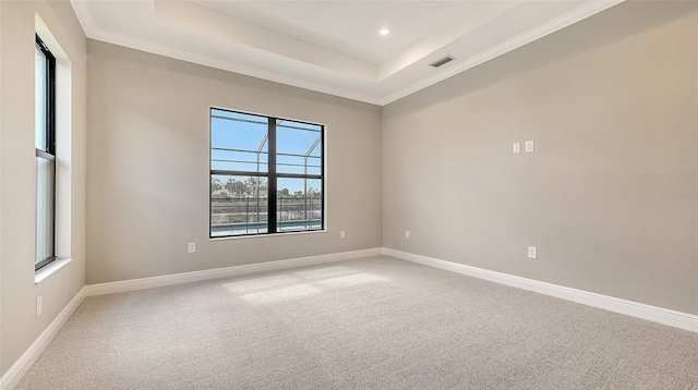 empty room featuring a tray ceiling, light colored carpet, and baseboards