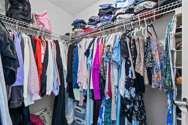 view of spacious closet