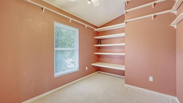 walk in closet with vaulted ceiling, ceiling fan, and carpet