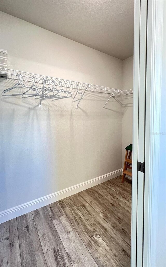 walk in closet featuring hardwood / wood-style flooring