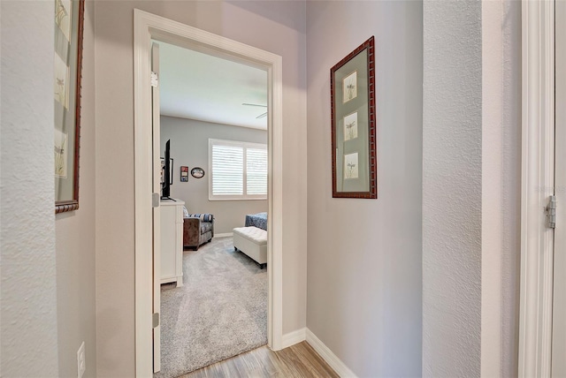 hall with light hardwood / wood-style flooring