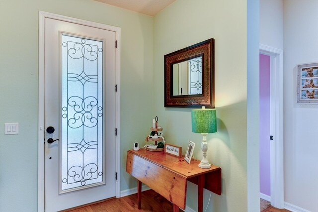 foyer entrance featuring hardwood / wood-style flooring