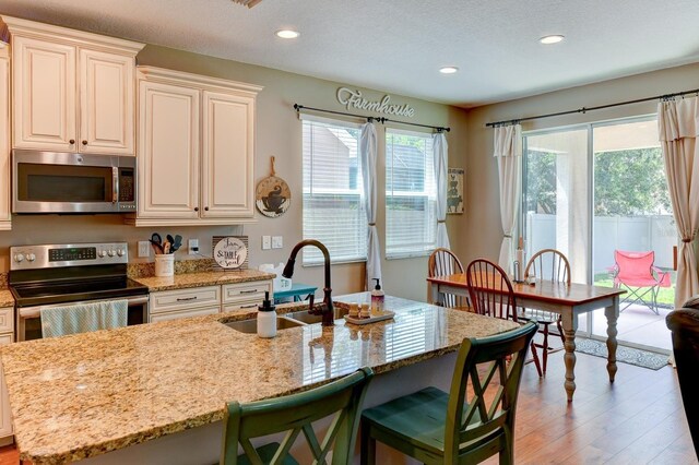 kitchen with sink, light wood-type flooring, stainless steel appliances, and a healthy amount of sunlight