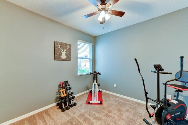 workout room with carpet floors and ceiling fan