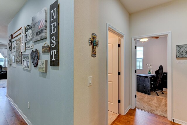 hall with hardwood / wood-style flooring