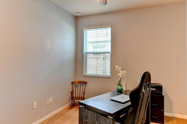 office featuring carpet flooring