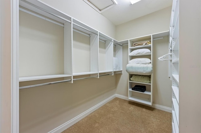 spacious closet with carpet flooring