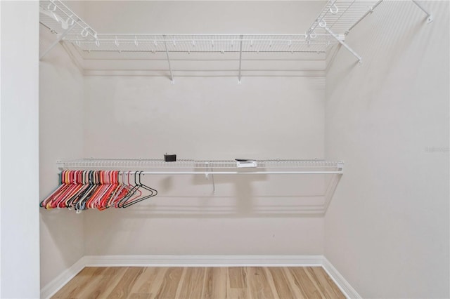 walk in closet featuring wood finished floors