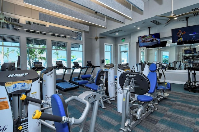 exercise room with a wealth of natural light