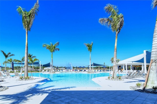 view of pool featuring a patio