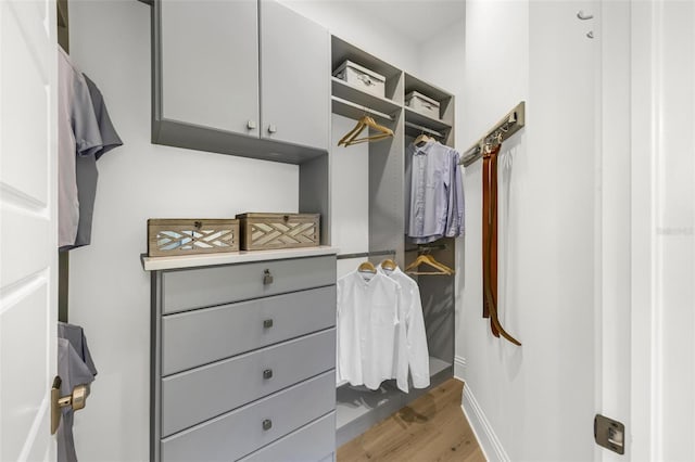 walk in closet featuring wood-type flooring