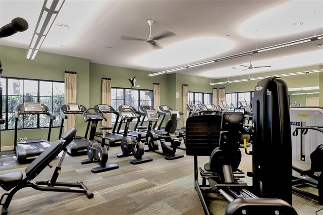 gym featuring a ceiling fan, visible vents, and carpet flooring