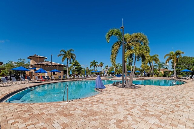 view of swimming pool with a patio