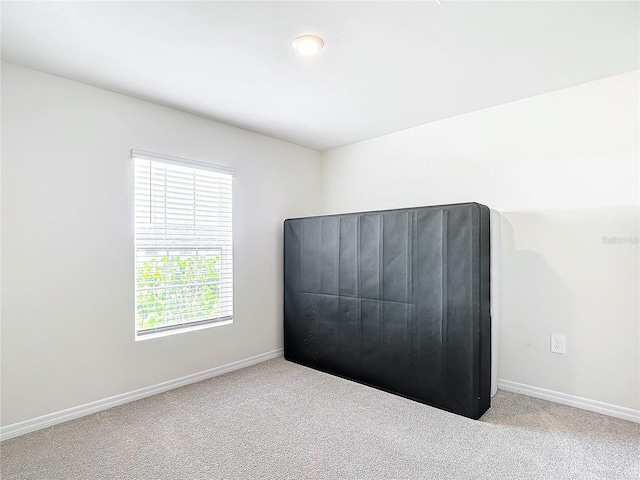 bedroom featuring carpet flooring