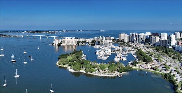 aerial view with a water view and a view of city