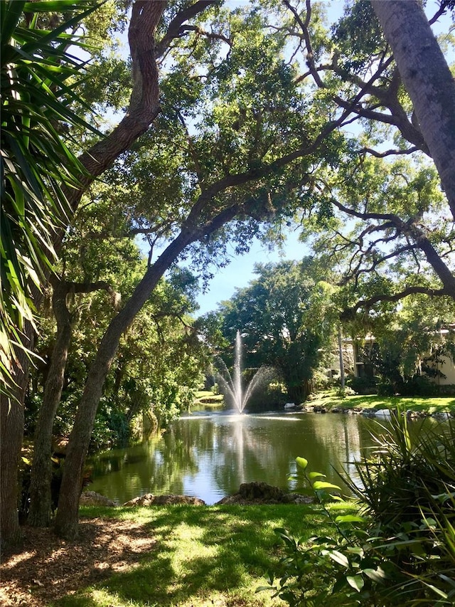 view of water feature