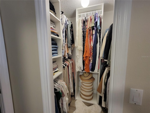 view of walk in closet