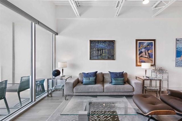 living room featuring hardwood / wood-style flooring